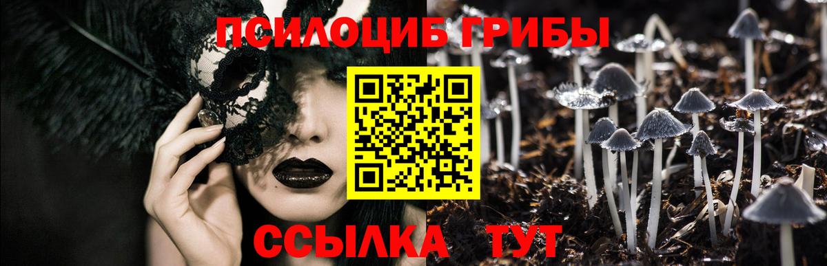 Псилоцибиновые грибы Psilocybe Верхний Уфалей